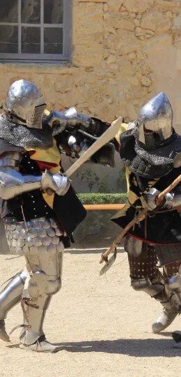 Photographie d'un duel de combattants Sanctis Draconis Petrocoria lors d'une prestation