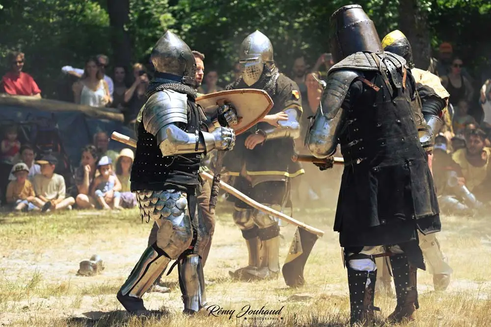 Photographie d'un combat entre deux combattants de Sanctis Draconis Petrocoria