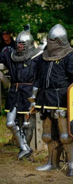Photographie d'un combattant Sanctis Draconis Petrocoria